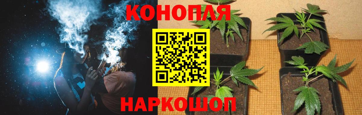 Каннабис OG Kush  Вход с VPN  Каннабис тримм  Гулькевичи 